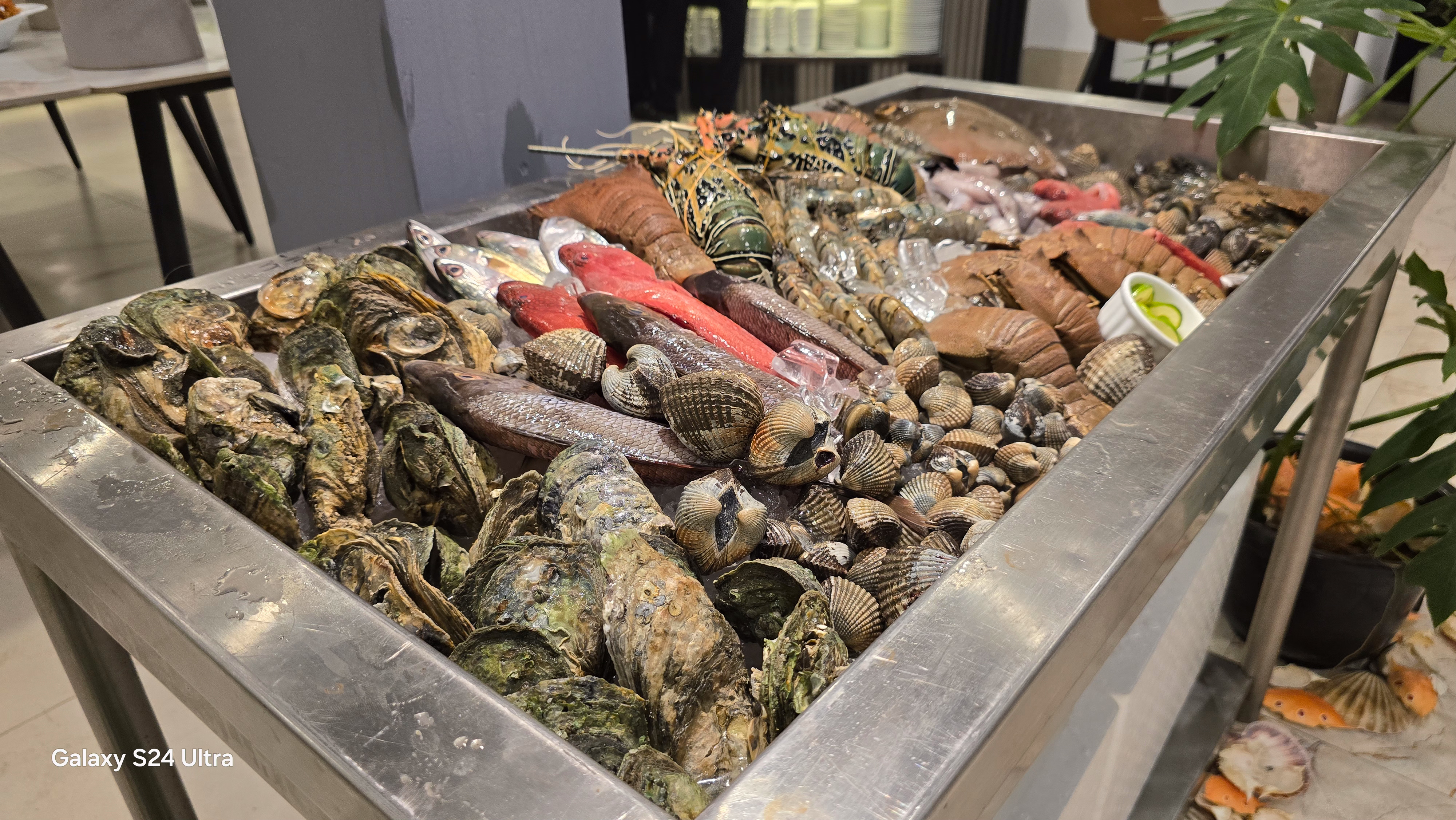 The Galaxy Airport Hotel's Seafood Culture: A Taste of Negombo's Coast
